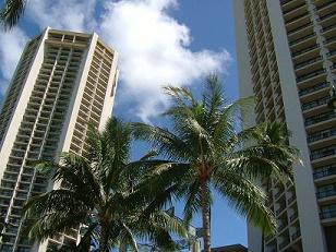 hawaii limousine tour