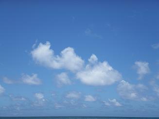 �n���C�ό��@�m�[�X�V���A�����W���ό�